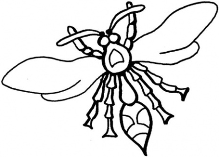 wasp-coloring-pages-2